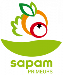Sapam